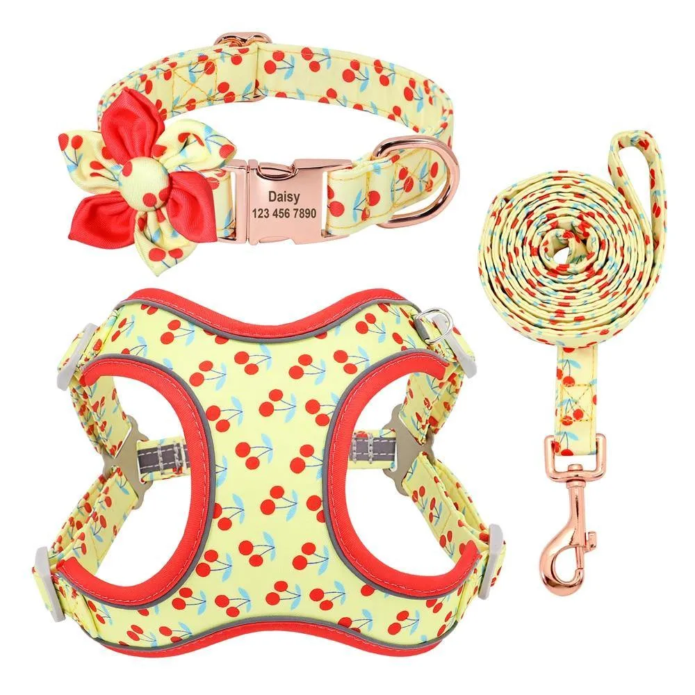 Custom Printed Dog Collar Leash Set Personalized Pet Dog Collar Harnesses Walking Leash