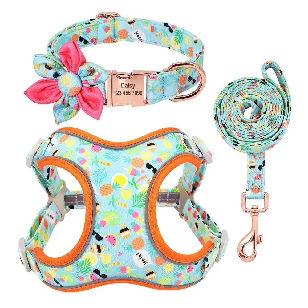 Custom Printed Dog Collar Leash Set Personalized Pet Dog Collar Harnesses Walking Leash