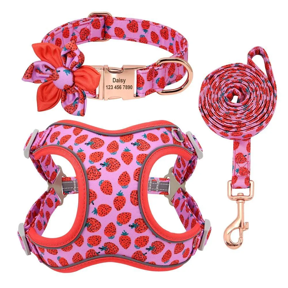 Custom Printed Dog Collar Leash Set Personalized Pet Dog Collar Harnesses Walking Leash