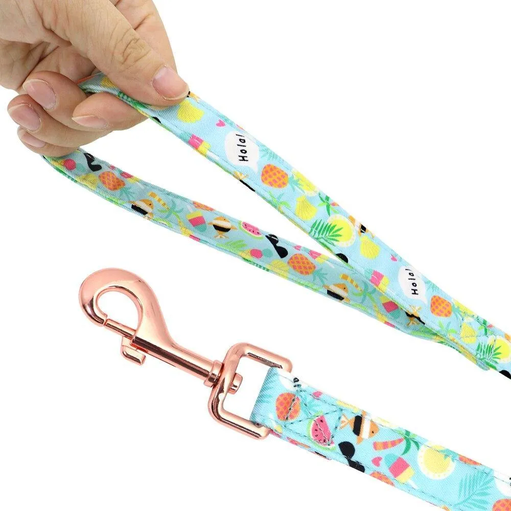 Custom Printed Dog Collar Leash Set Personalized Pet Dog Collar Harnesses Walking Leash