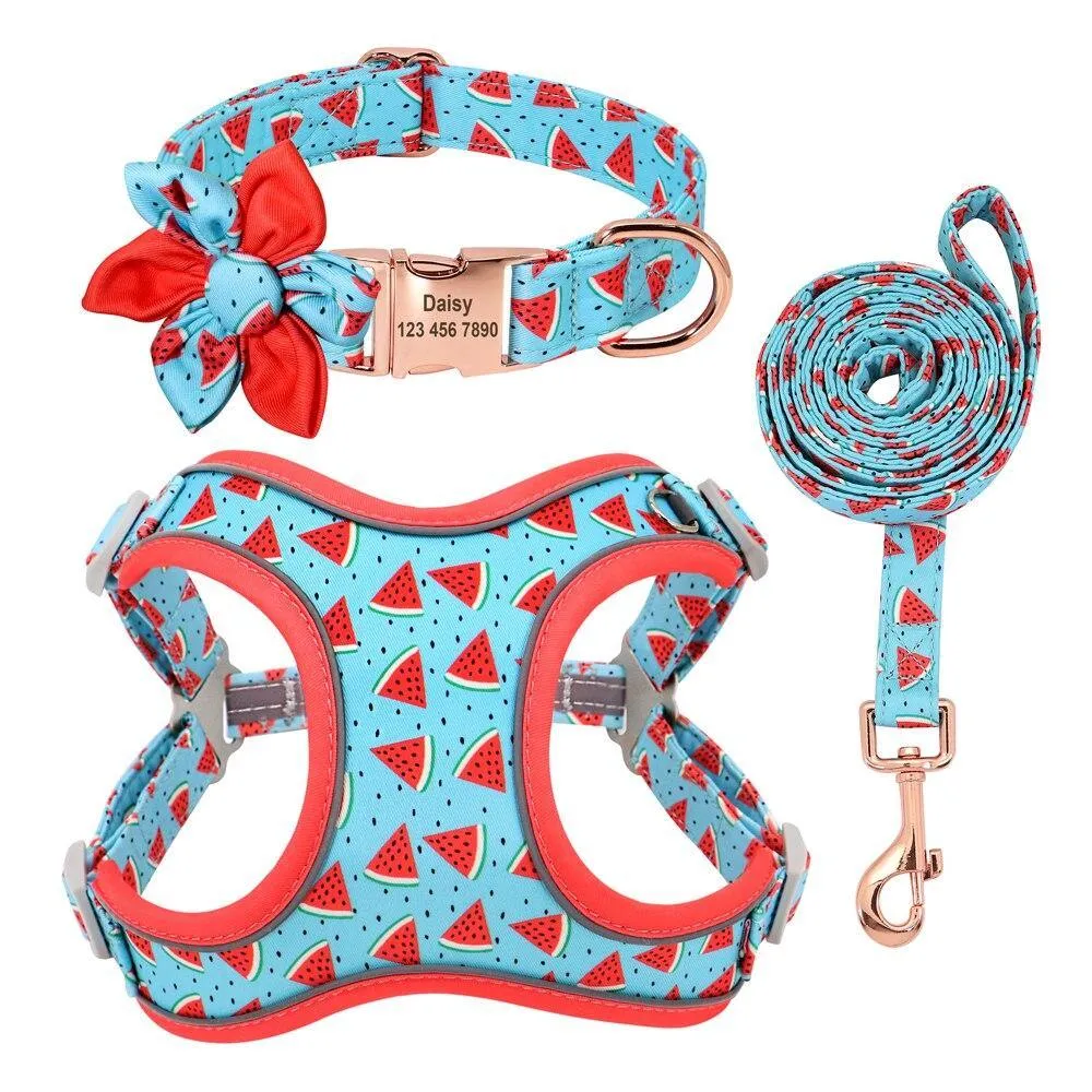 Custom Printed Dog Collar Leash Set Personalized Pet Dog Collar Harnesses Walking Leash