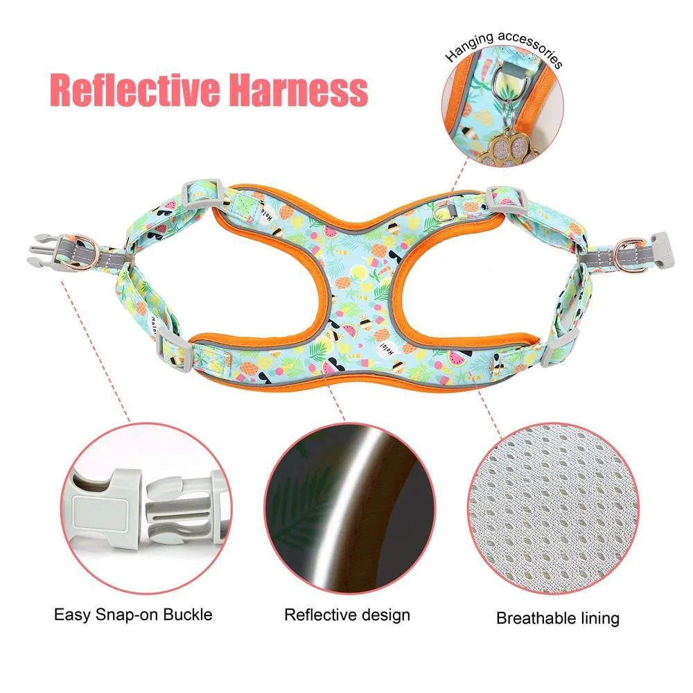 Custom Printed Dog Collar Leash Set Personalized Pet Dog Collar Harnesses Walking Leash