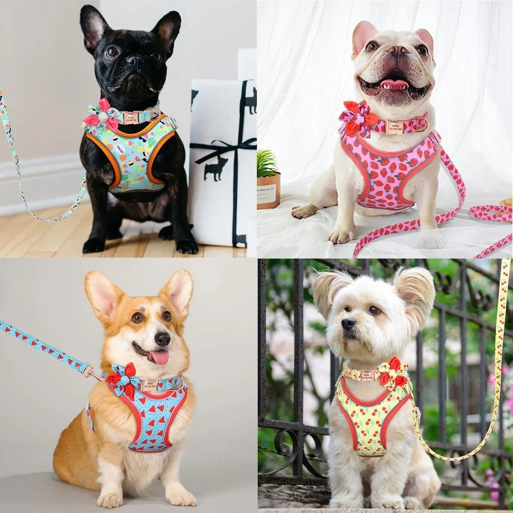 Custom Printed Dog Collar Leash Set Personalized Pet Dog Collar Harnesses Walking Leash